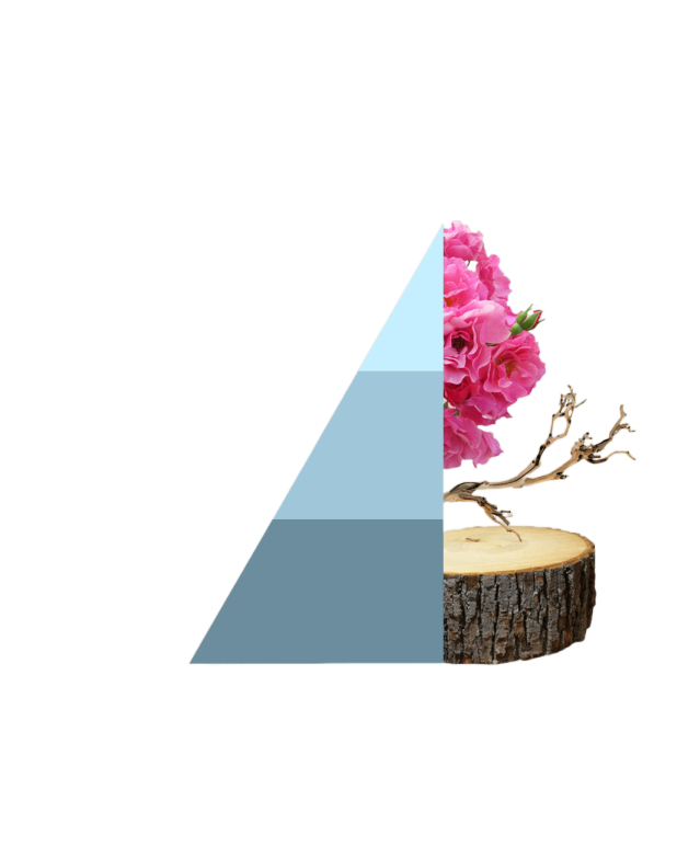 Horomia wasparfum Fresh Cotton