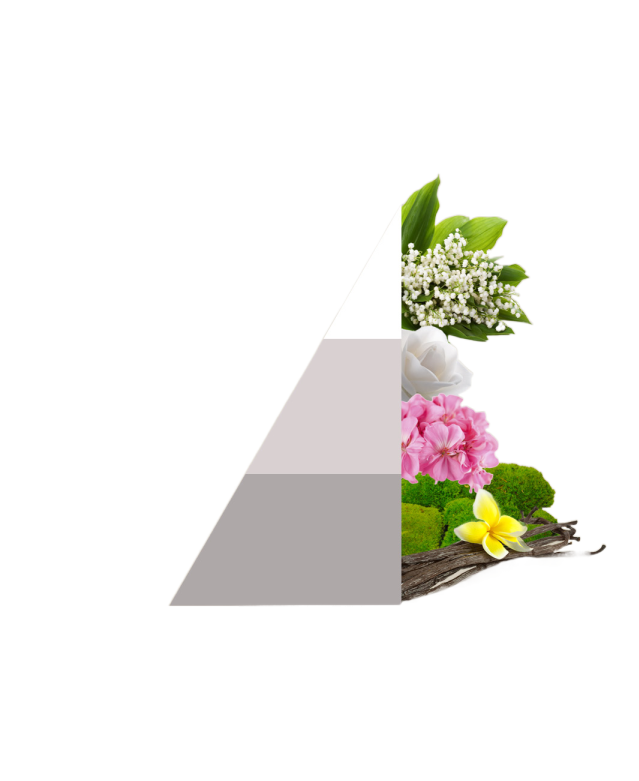 Horomia wasparfum white