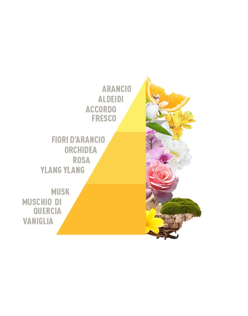 Horomia wasparfum spring-summer Madreperla
